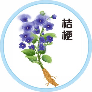 桔梗