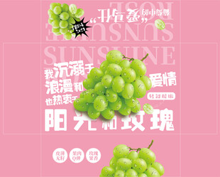 阳光玫瑰