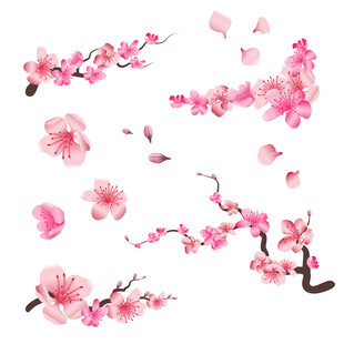 桃花树枝花瓣