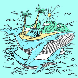 大牌 鲨鱼