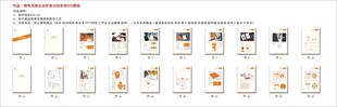 橙色风格企业形象识别系统VIS