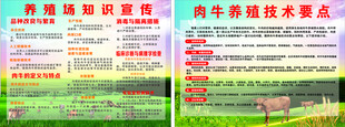 养牛场广告