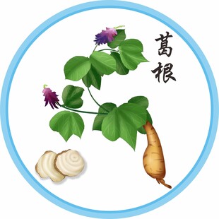 葛根