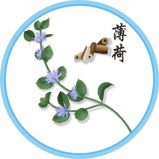 薄荷