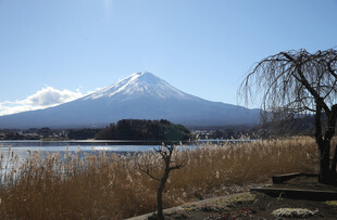 富士山