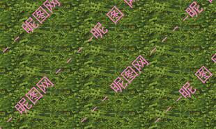 乱点子