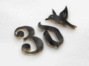 3D设计感logo