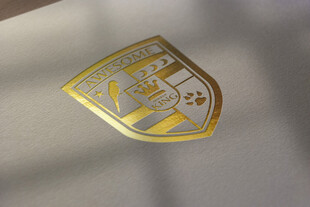 烫金logo样机