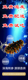 海参海报 