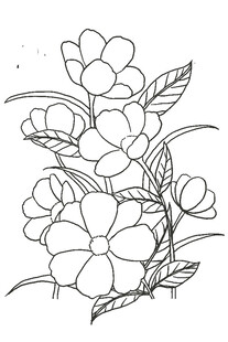 手绘花朵线描