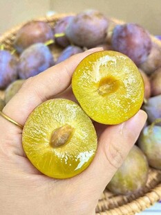 进口西梅特写