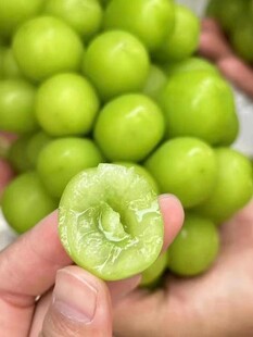 阳光玫瑰特写