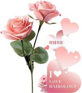 玫瑰花