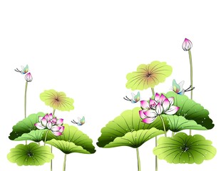 免扣荷花