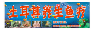 土耳其养生鱼疗