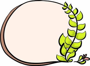 花边框