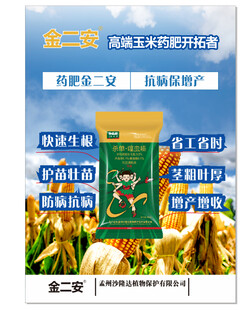 玉米单标单页转曲