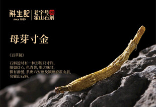 斛生记   霍山石斛 母芽寸金