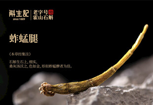 斛生记   霍山石斛 蚱蜢腿