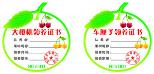 樱桃车厘子领养牌