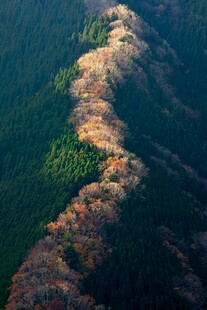 春山
