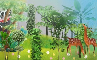 绿植背景墙  