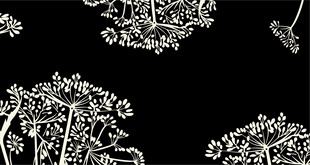 复古植物花卉线稿手绘插画