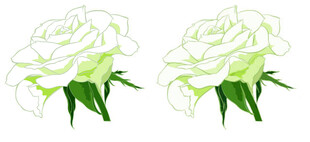栀子花