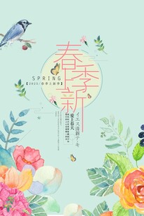 春季女装海报