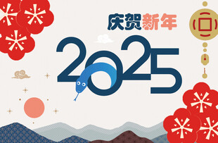 新年 晚会幕布