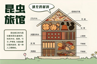 昆虫旅馆