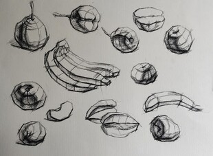 素描水果静物结构