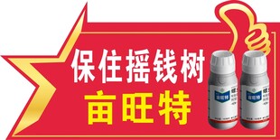 造型手举牌