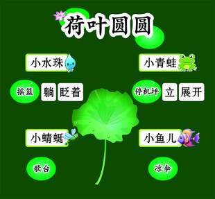 荷叶圆圆