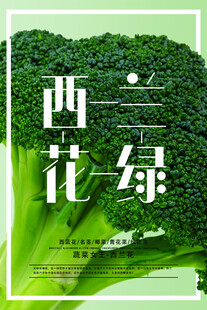 西蓝花 名茎 椰菜 青花菜 绿