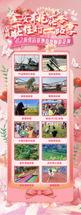 活动