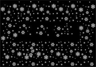 雪花片