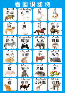 看图识动物