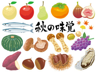 秋季食材矢量