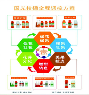   国光柑橘调控方案