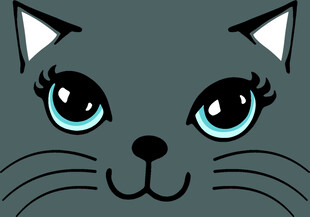 小猫 
