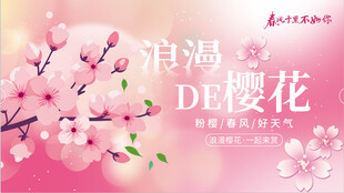 粉色樱花春天