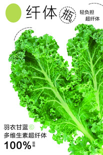 羽衣甘蓝