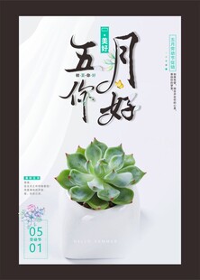 你好五月
