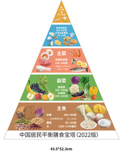 膳食宝塔