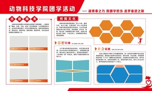 大学展版