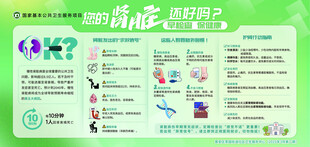 您的肾脏还好吗