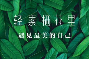 轻素栖花里