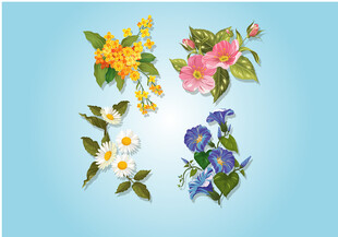 花卉
