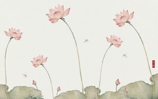 荷花 蜻蜓
